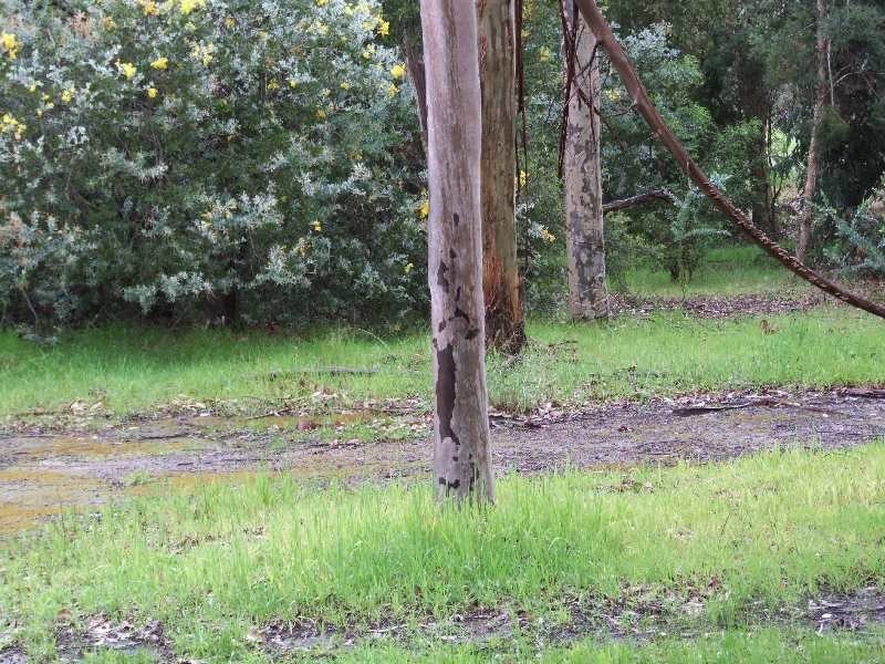 2743 Donnybrook Boyup Brook Road, Mumballup WA 6225