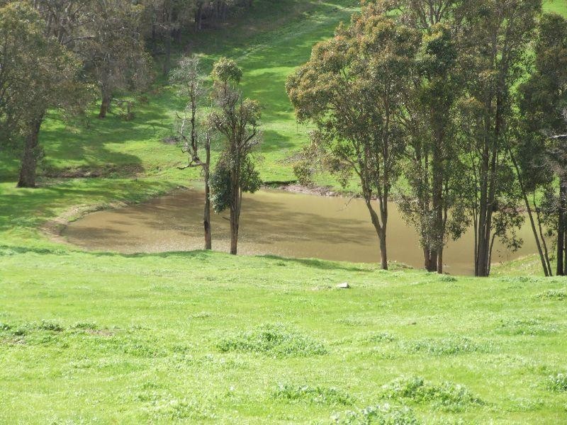 Price Road, Brazier WA 6251