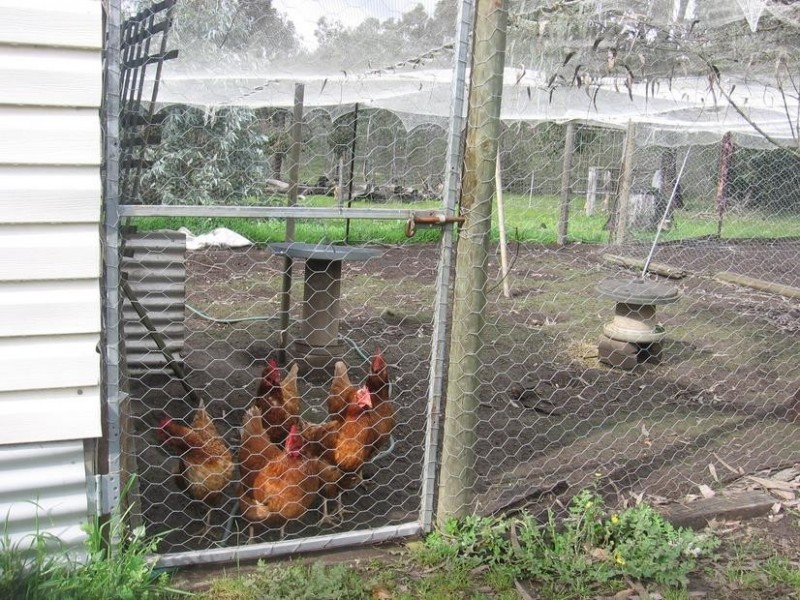 293 Abels Road, Boyup Brook WA 6244