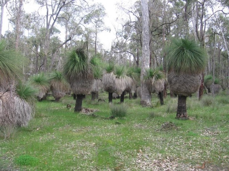 293 Abels Road, Boyup Brook WA 6244