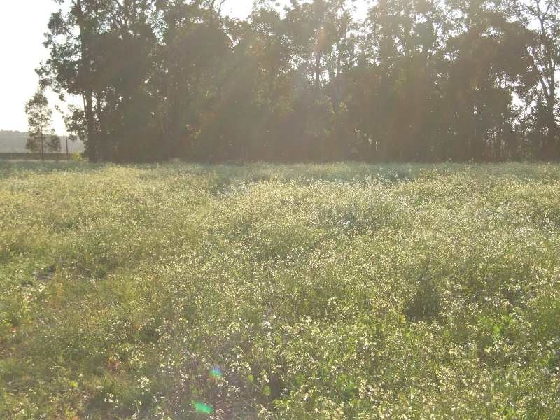 18302 South Western Hwy, Donnybrook WA 6239