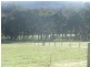 320 Brookhampton rd, Brookhampton WA 6239