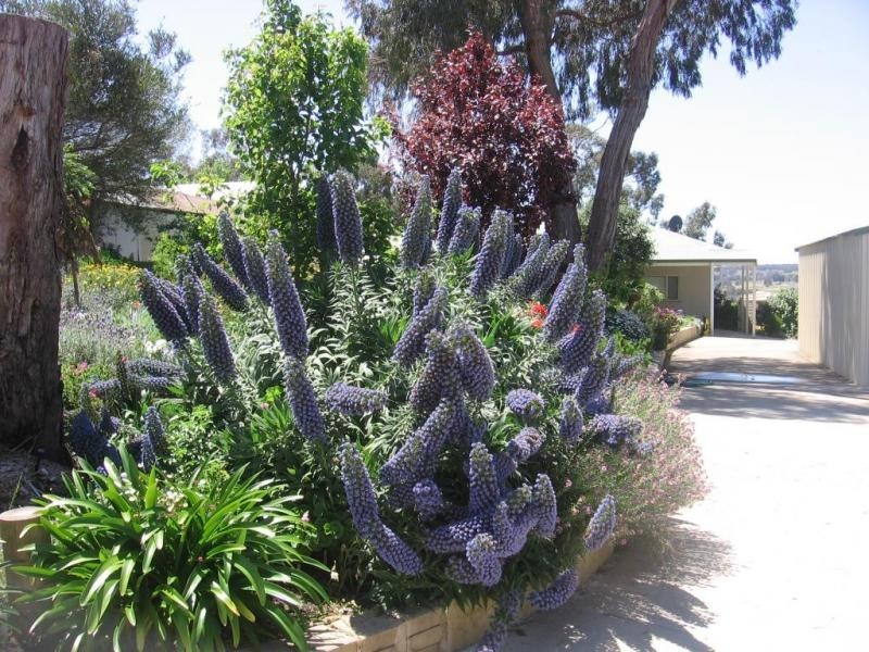 23 Inglis Street, Boyup Brook WA 6244