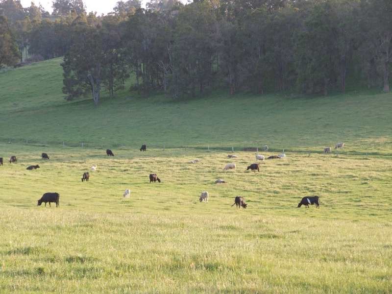 320 Brookhampton Road, Brookhampton WA 6239