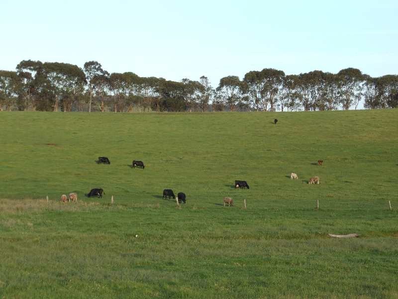 320 Brookhampton Road, Brookhampton WA 6239