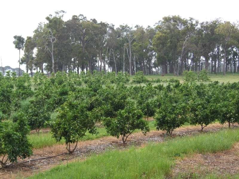 320 Brookhampton Road, Brookhampton WA 6239