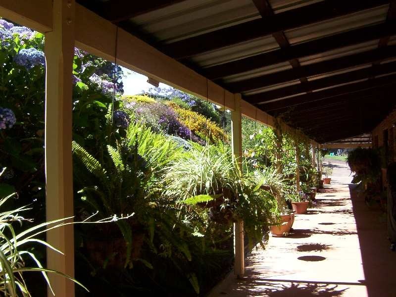 128 Trevena Road, Donnybrook WA 6239