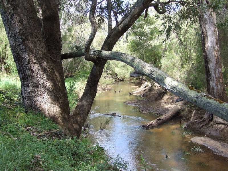 128 Trevena Road, Donnybrook WA 6239