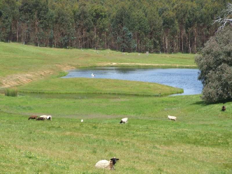 128 Trevena Road, Donnybrook WA 6239