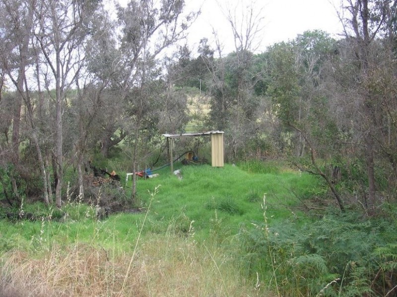 6 Carey Street, Balingup WA 6253