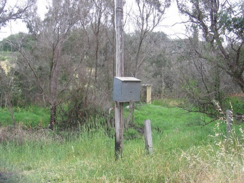 6 Carey Street, Balingup WA 6253