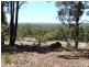 26 Myrtle Ridge, Argyle WA 6239