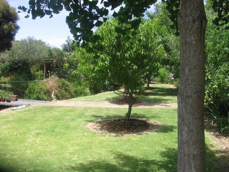 46 Roberts Street, Balingup WA 6253