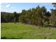 Lot 10, 501 Asplin Siding Road, Boyup Brook WA 6244