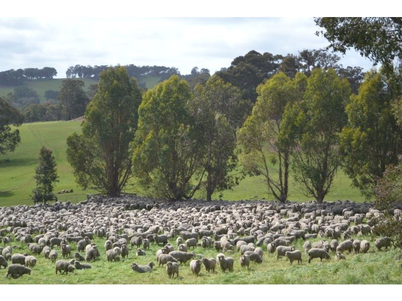 Lot 10, 501 Asplin Siding Road, Boyup Brook WA 6244