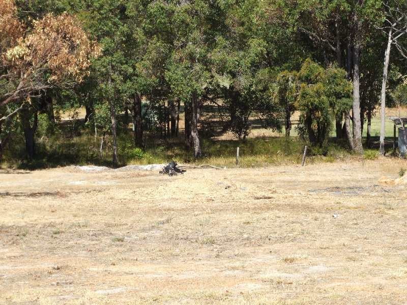 31 Leschenaultia, Donnybrook WA 6239