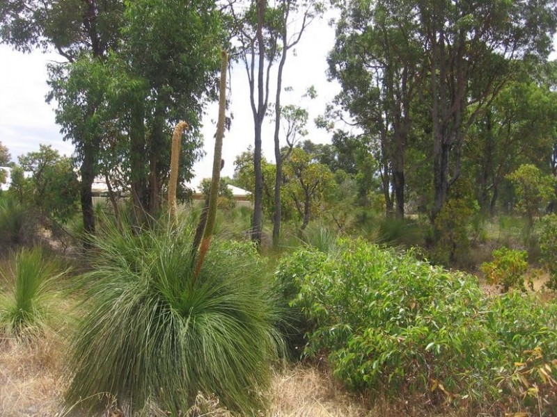 Lot 92, 39 Leschenaultia Circle, Donnybrook WA 6239
