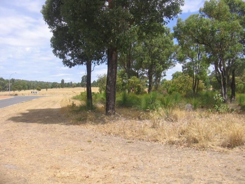 Lot 92, 39 Leschenaultia Circle, Donnybrook WA 6239