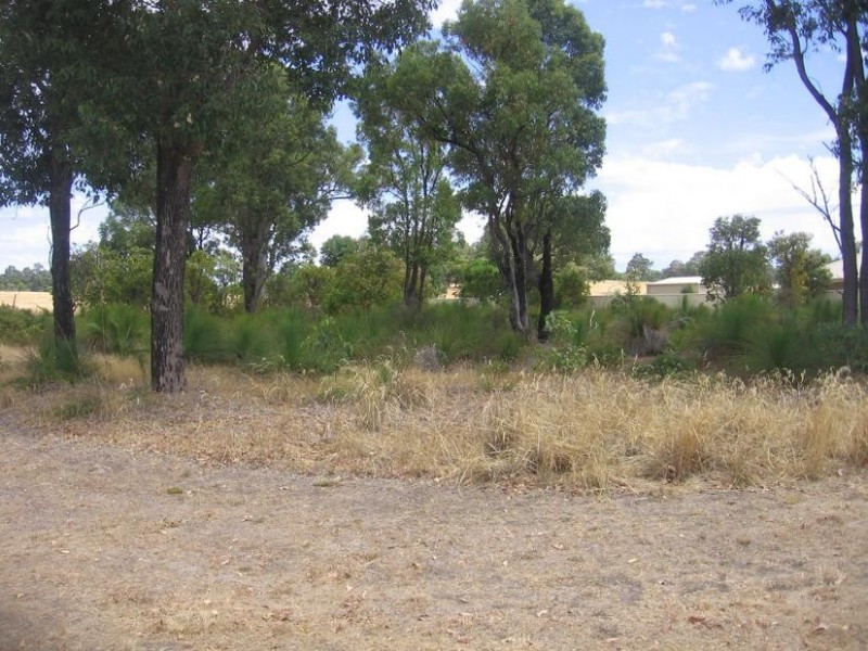 Lot 92, 39 Leschenaultia Circle, Donnybrook WA 6239
