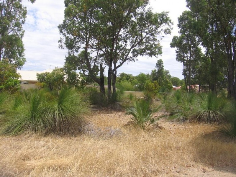 Lot 92, 39 Leschenaultia Circle, Donnybrook WA 6239