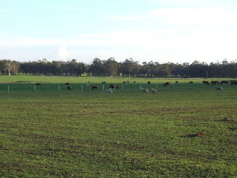 Lot 1, Corner of Meredith and Donnybrook-Boyup Brook Roads, Wilga WA 6243