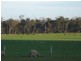 Lot 1, Corner of Meredith and Donnybrook-Boyup Brook Roads, Wilga WA 6243