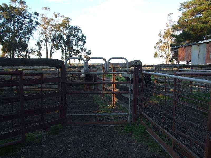 Lot 1, Corner of Meredith and Donnybrook-Boyup Brook Roads, Wilga WA 6243