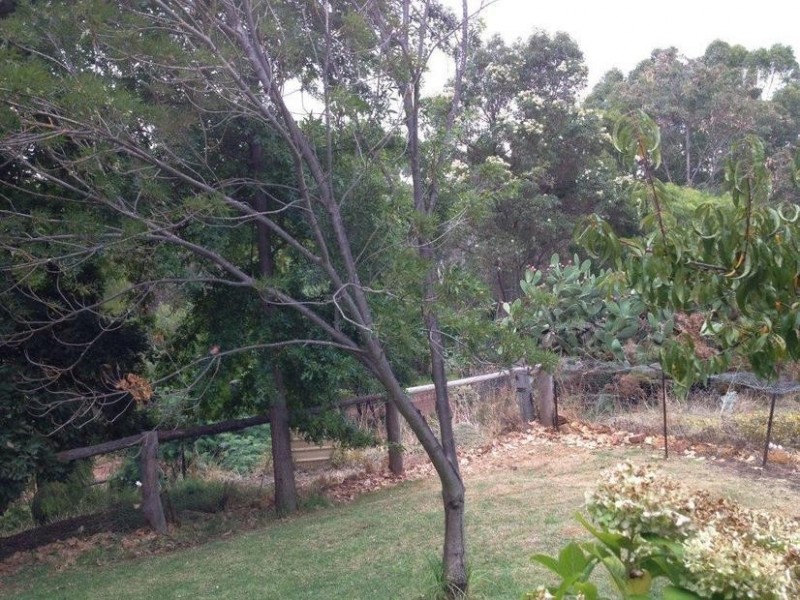 816 Hurst, Donnybrook WA 6239