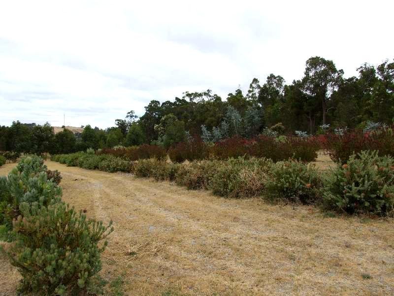 53 Hackett Road, Donnybrook WA 6239