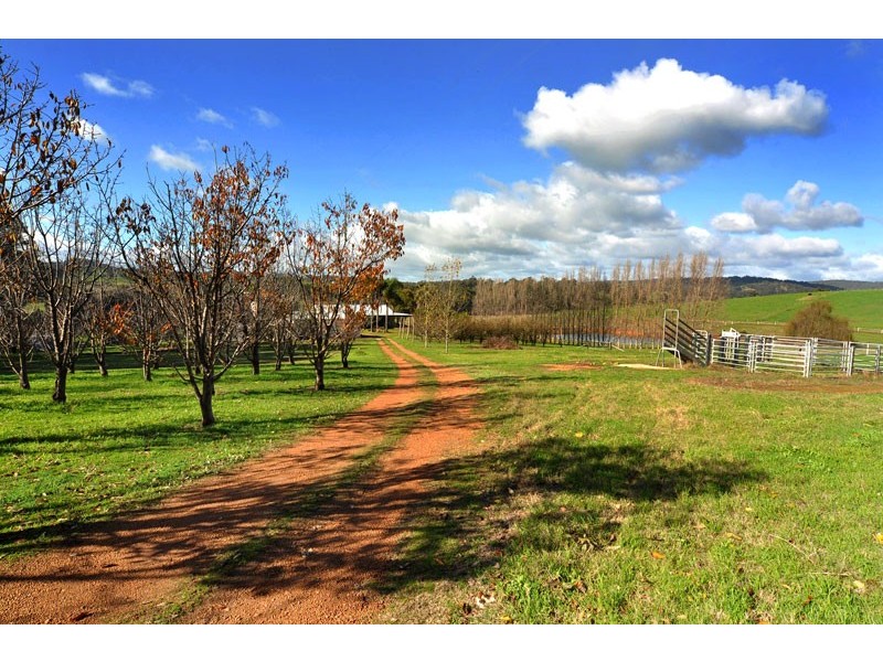 238 Wade Road, Brookhampton WA 6239