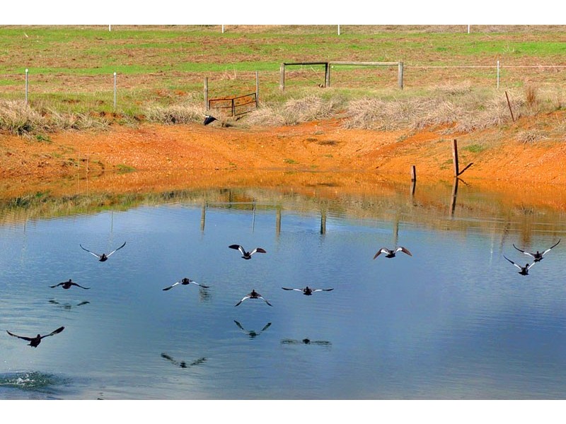 238 Wade Road, Brookhampton WA 6239