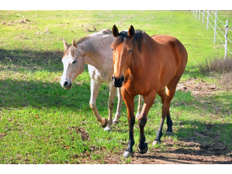 238 Wade Road, Brookhampton WA 6239