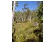 Lot 1,  Hearle Road, Mumballup WA 6225