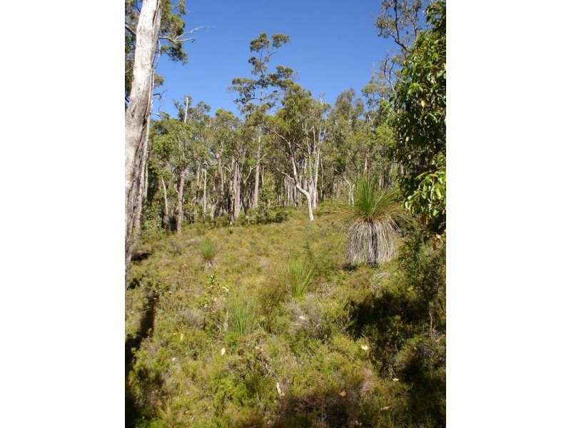 Lot 1,  Hearle Road, Mumballup WA 6225