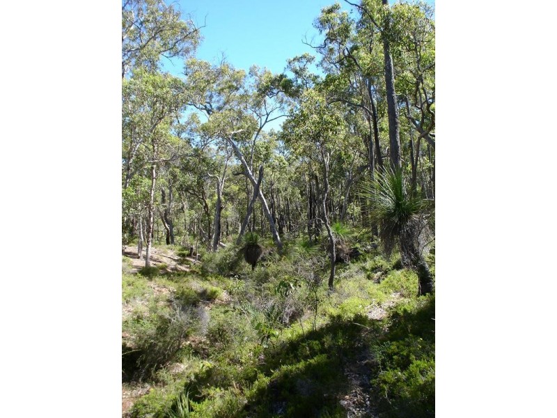 Lot 1,  Hearle Road, Mumballup WA 6225