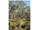 Lot 1,  Hearle Road, Mumballup WA 6225