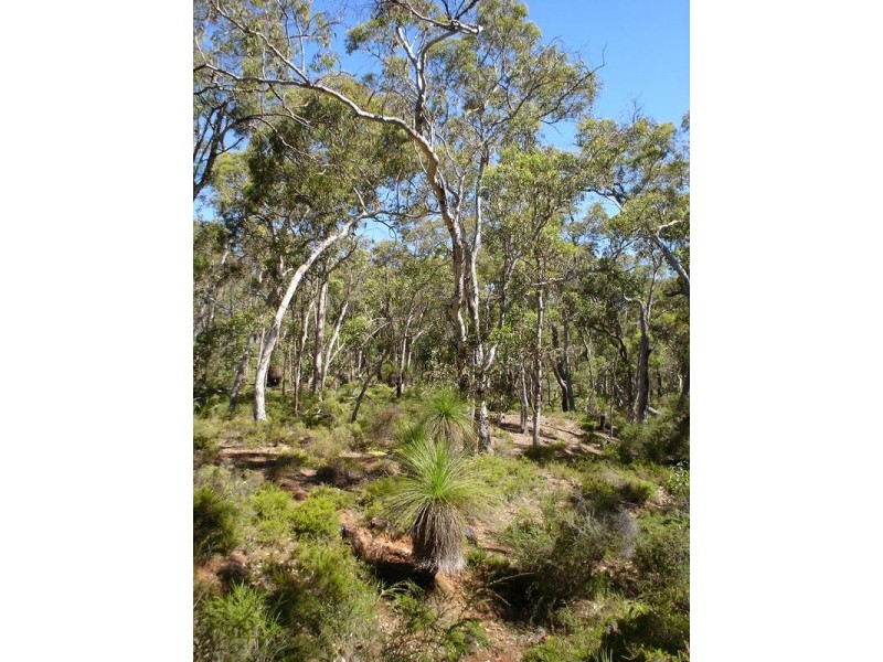 Lot 1,  Hearle Road, Mumballup WA 6225
