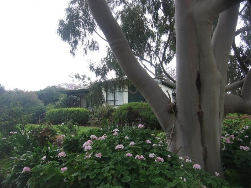 132 Lodge Rd, Boyup Brook WA 6244