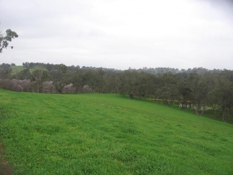 132 Lodge Rd, Boyup Brook WA 6244