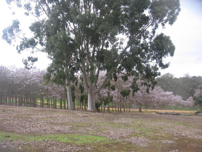 132 Lodge Rd, Boyup Brook WA 6244