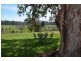 1370 Cundinup Kirup Road, Brazier WA 6251