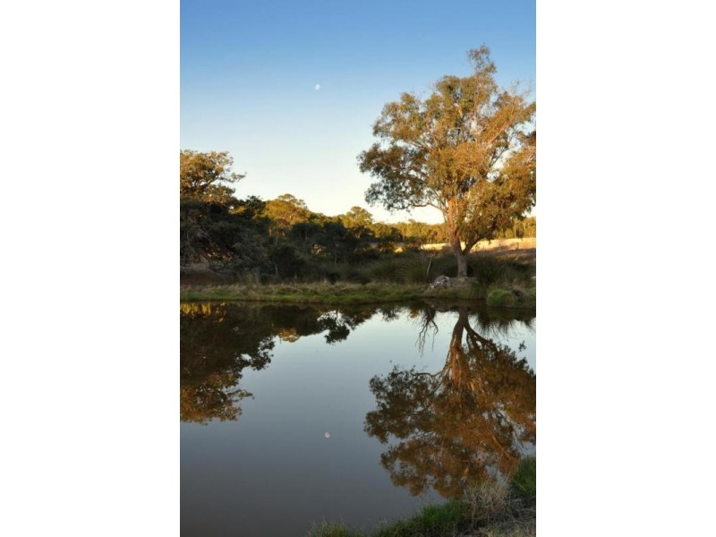 1370 Cundinup Kirup Road, Brazier WA 6251