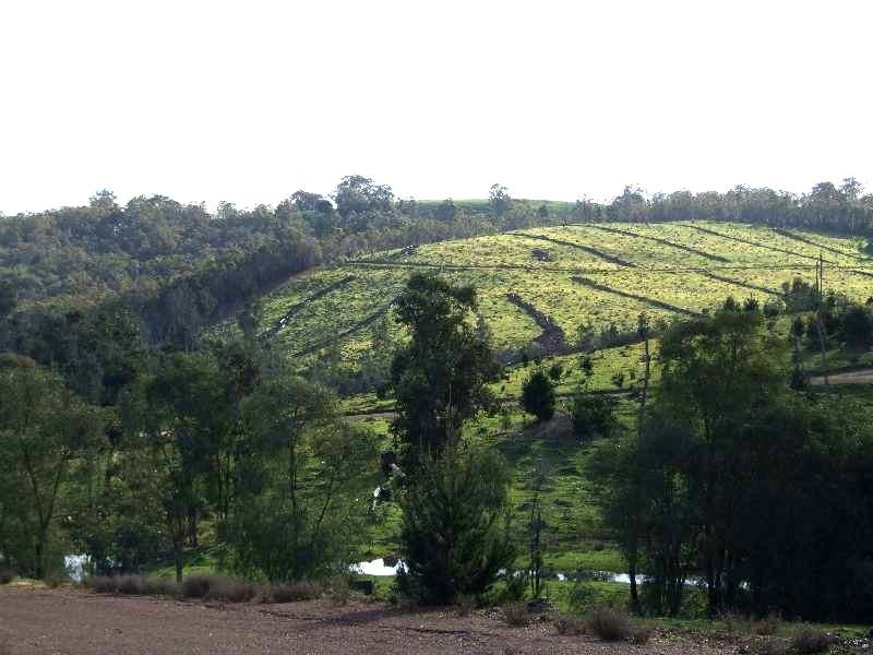 Lot 102,  Beelerup Road, Beelerup WA 6239