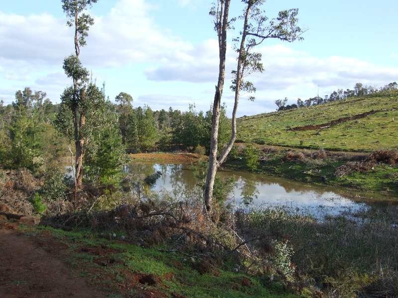 Lot 102,  Beelerup Road, Beelerup WA 6239