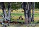 Morrissey Road, Yabberup WA 6239
