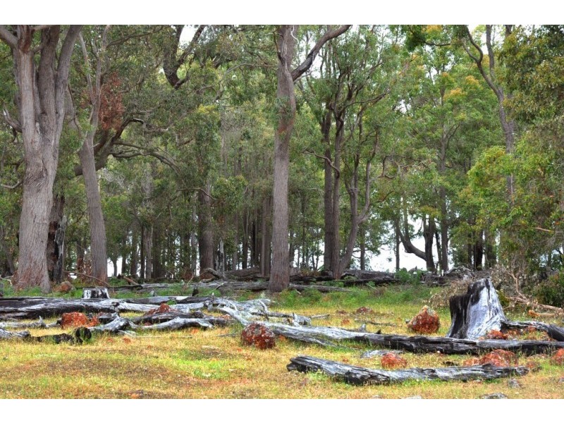Morrissey Road, Yabberup WA 6239