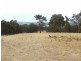 Morrissey Road, Yabberup WA 6239