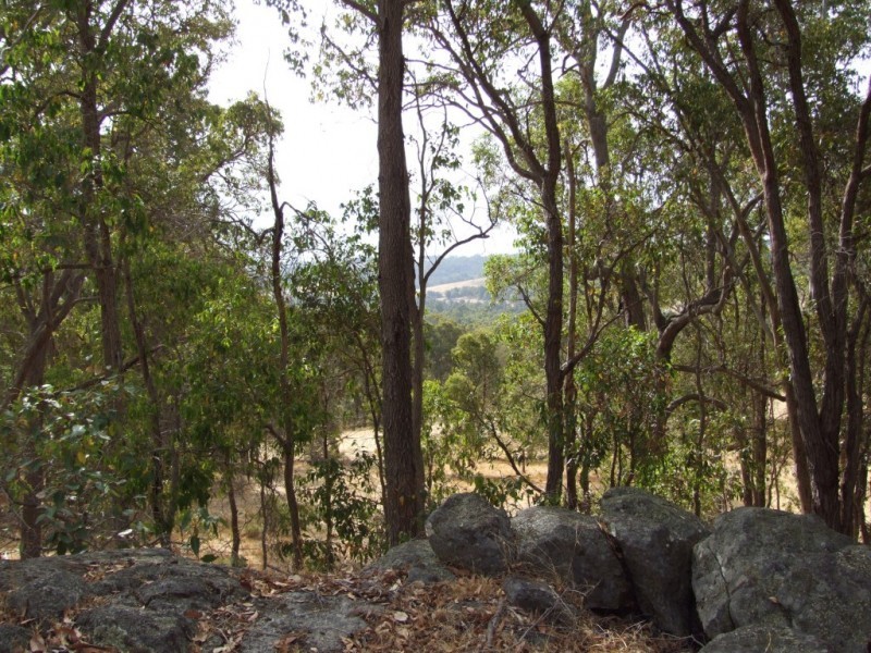 Morrissey Road, Yabberup WA 6239