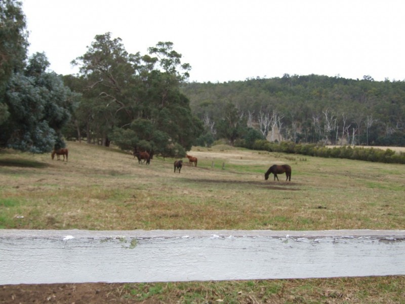 Lot 350,  Boyup Brook Road, Yabberup WA 6239