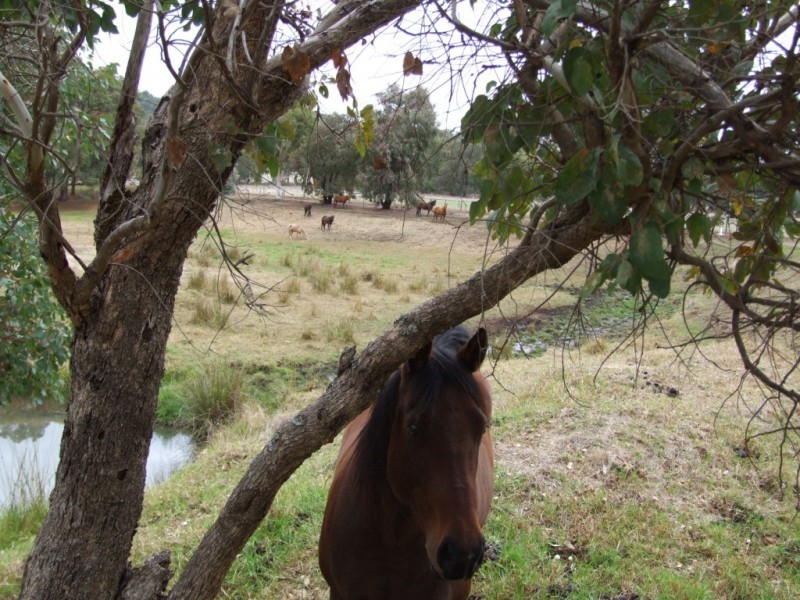Lot 350,  Boyup Brook Road, Yabberup WA 6239